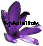 Spcialits
